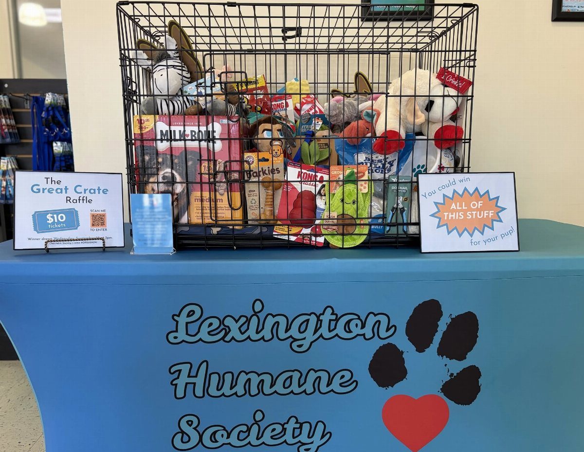 Dog crate filled with pet toys and treats on a blue table.
